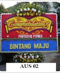 AUS 02 500000