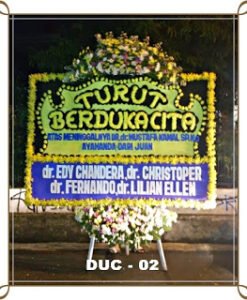 DUC-02 700.000