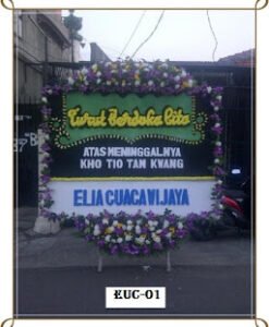 EUC-01 800.000