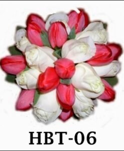 HBT-06 1100000