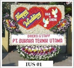 IUS 01 1500000