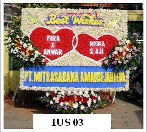 IUS 03 1500000