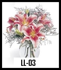 LL-03 650000
