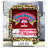 LUS 01 2500000