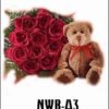 NWB-A3 650000