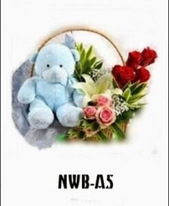 NWB-A5 800000