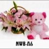 NWB-A6 900000