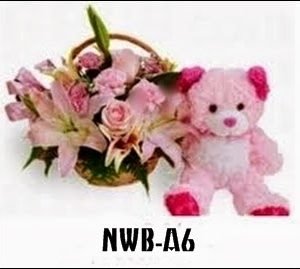 NWB-A6 900000