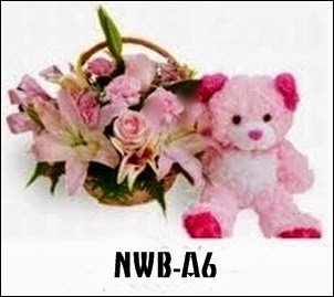 NWB-A6 900000