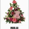 NWB-B1 850000