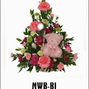 NWB-B1 850000