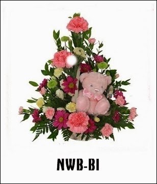 NWB-B1 850000 NWB-B1 850000