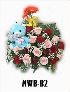 NWB-B2 800000 NWB-B2 800000