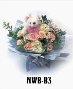 NWB-B3 850000