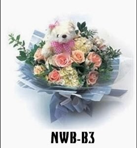 NWB-B3 850000