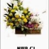 NWB-C1 800000