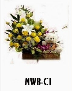 NWB-C1 800000