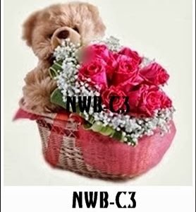 NWB-C3 800000