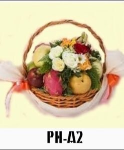 PH-A2 450000
