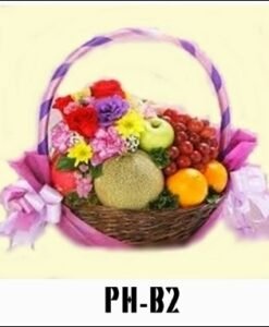 PH-B2 850000