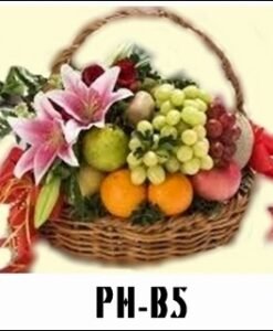 PH-B5 1000000