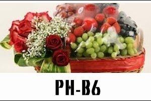 PH-B6 1000000