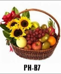 PH-B7 1000000