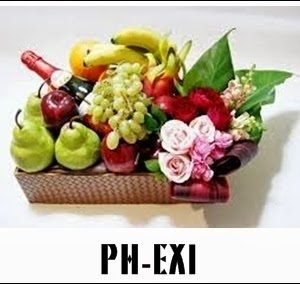 PH-EX1 1500000