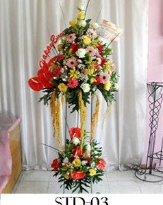 STD-03 750000