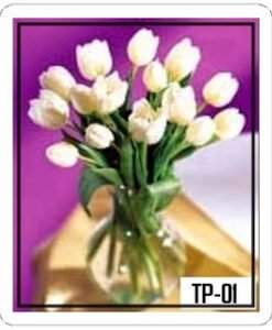 Tp-01 750000