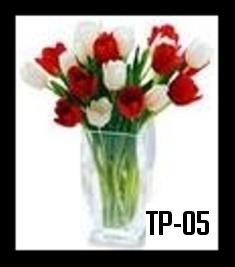 Tp-05 1100000