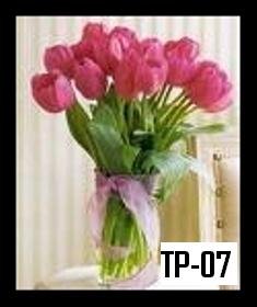 Tp-07 850000