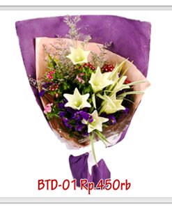 btd-01-450000