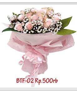 btf-02-500000