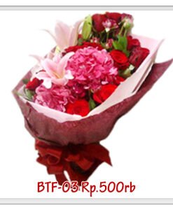 btf-03-500000