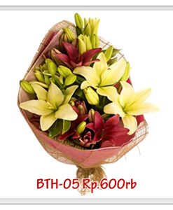 bth-05-600000