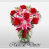 classical Duets 1150000