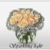 sparkling light 650000