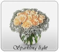 sparkling light 650000