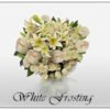 white frosting 1050000