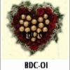 BDC-01 1000000