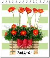 BMA-01 350000
