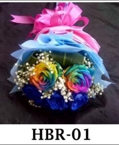 HBR-01 900000