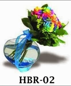 HBR-02 1100000