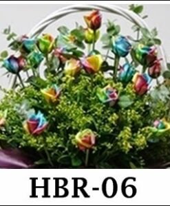 HBR-06 2000000