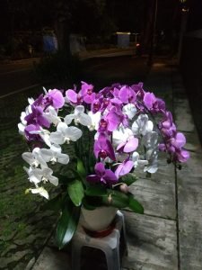 Toko Bunga Citayam Depok