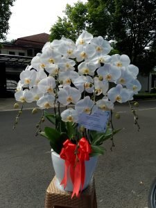 Toko Bunga di Menteng Jakarta